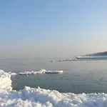 Borowka W Blue Mare Łukęcin