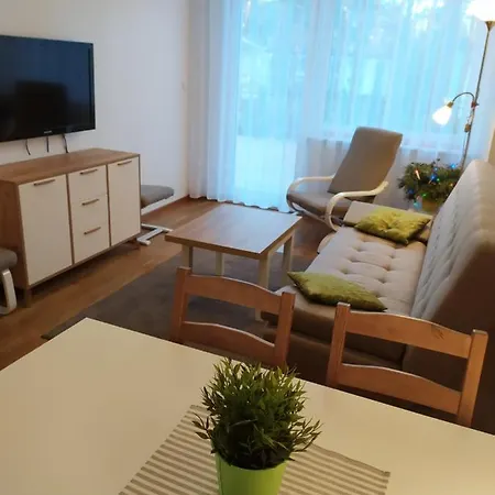 Borowka W Blue Mare Apartment Łukęcin