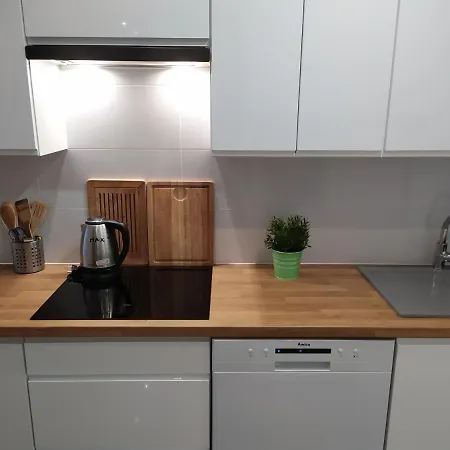 Borowka W Blue Mare Apartment *