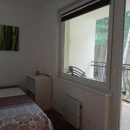 Апартаменты Borowka W Blue Mare Лукенцин