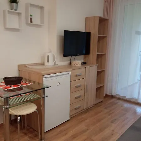 Borowka W Blue Mare Apartment *