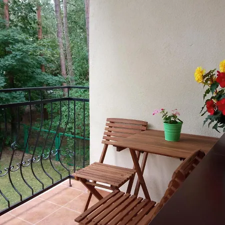 Borowka W Blue Mare Apartment Łukęcin