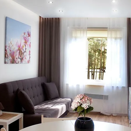 Borowka W Blue Mare Apartment Łukęcin