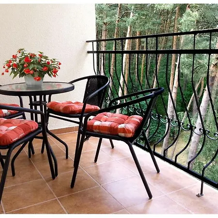 Borowka W Blue Mare アパート *