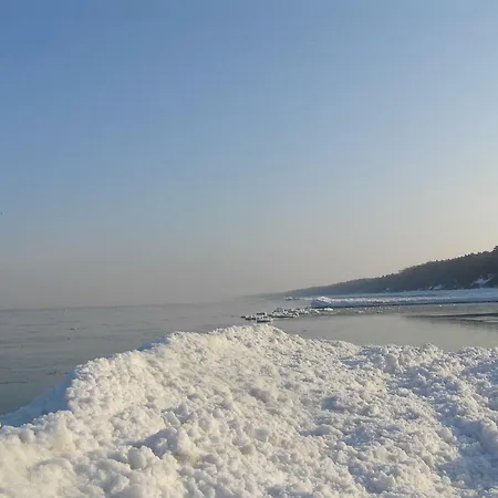 Borowka W Blue Mare Апартаменты