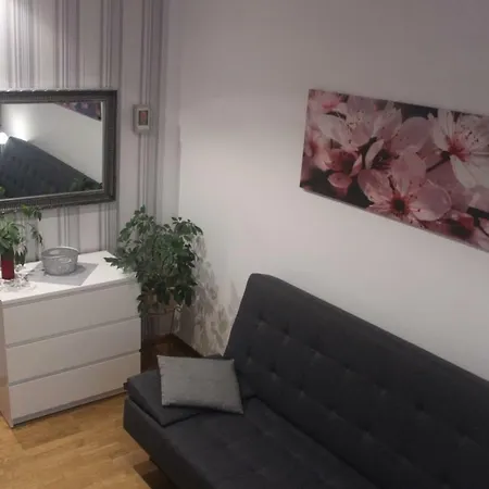 Borowka W Blue Mare Apartmán *
