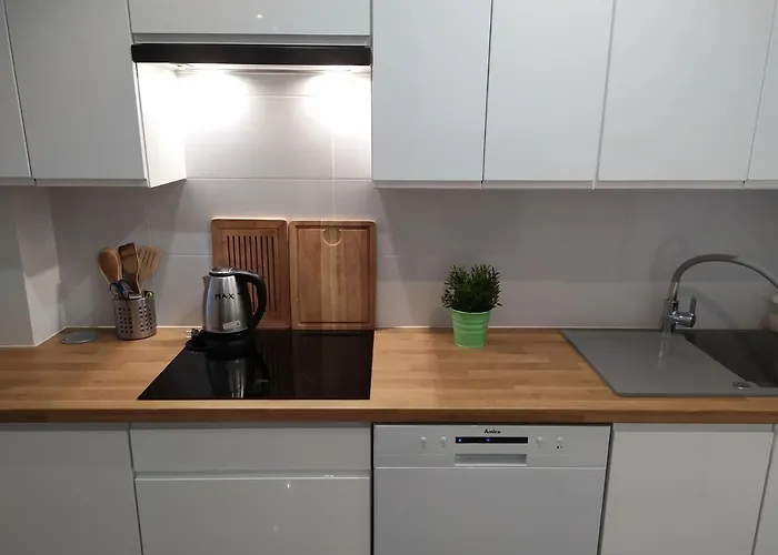 Borowka W Blue Mare 公寓 *