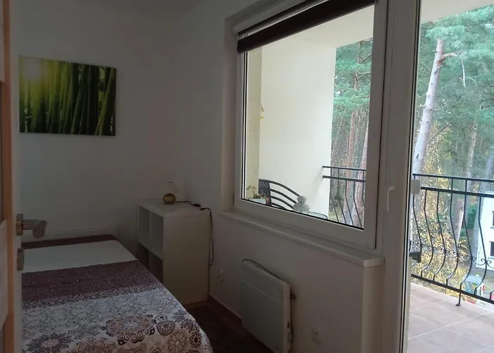 公寓 Borowka W Blue Mare Łukęcin