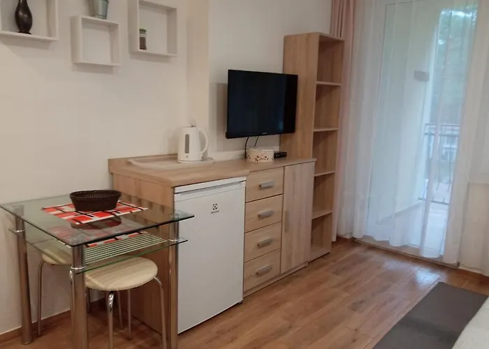 Borowka W Blue Mare Apartment *