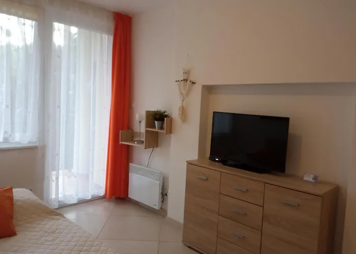 Borowka W Blue Mare Apartment *