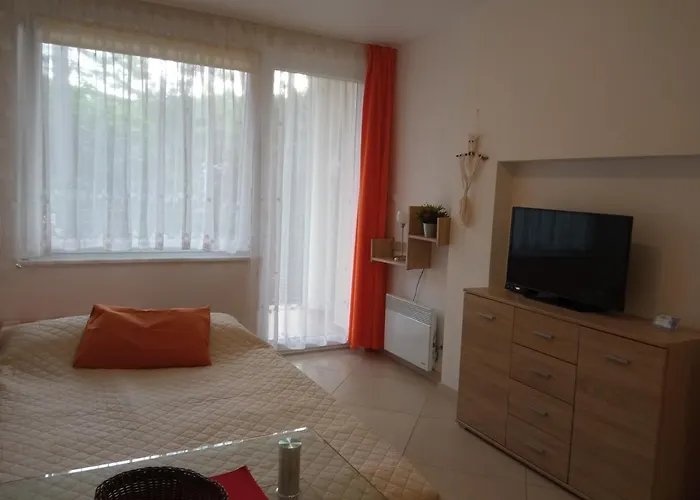 Apartment Borowka W Blue Mare