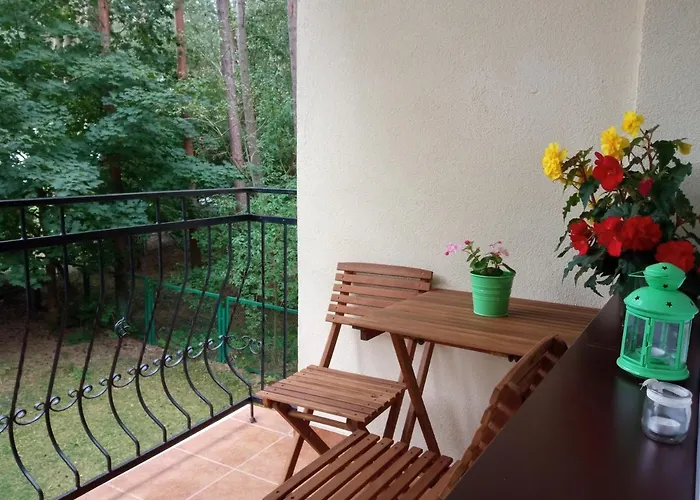 Borowka W Blue Mare Apartment Łukęcin