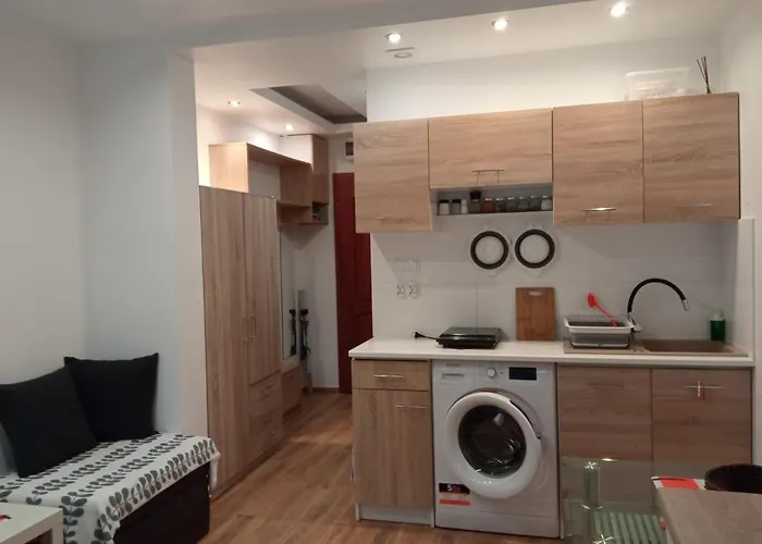 公寓 Borowka W Blue Mare