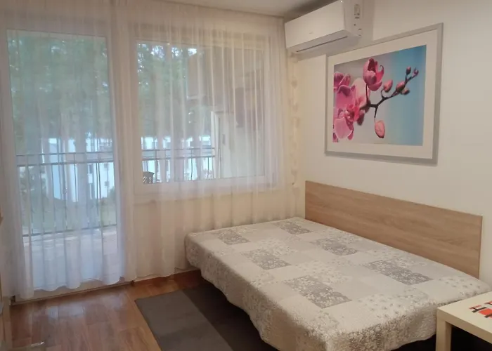 Borowka W Blue Mare * Łukęcin