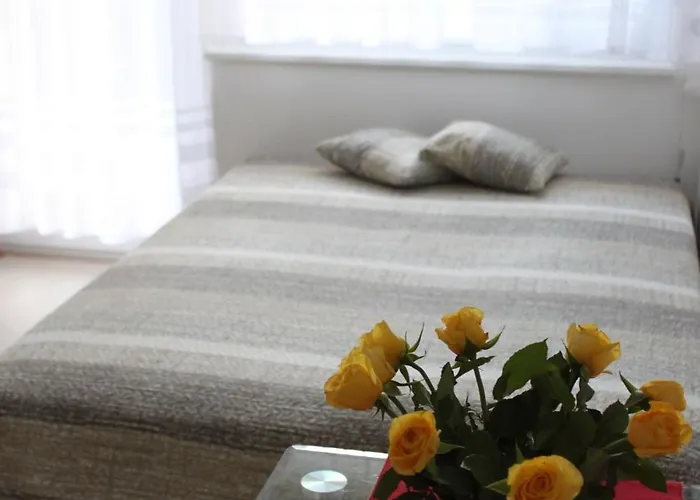 公寓 Borowka W Blue Mare