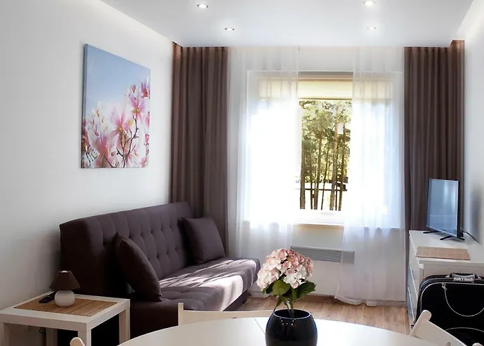 Borowka W Blue Mare 公寓 Łukęcin