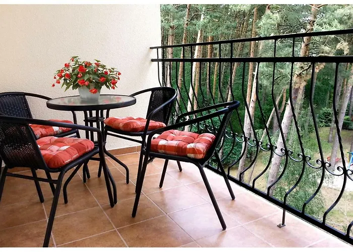 Borowka W Blue Mare 公寓 *