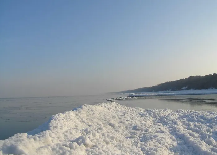 Borowka W Blue Mare Apartment