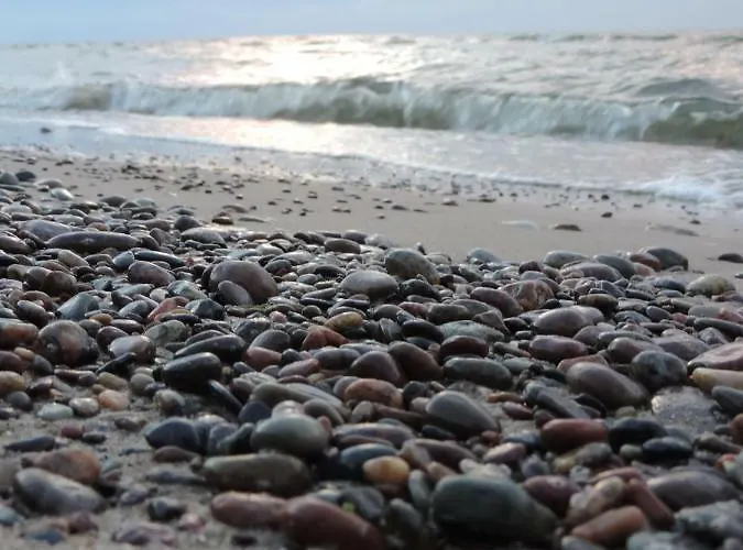 Borowka W Blue Mare Apartment