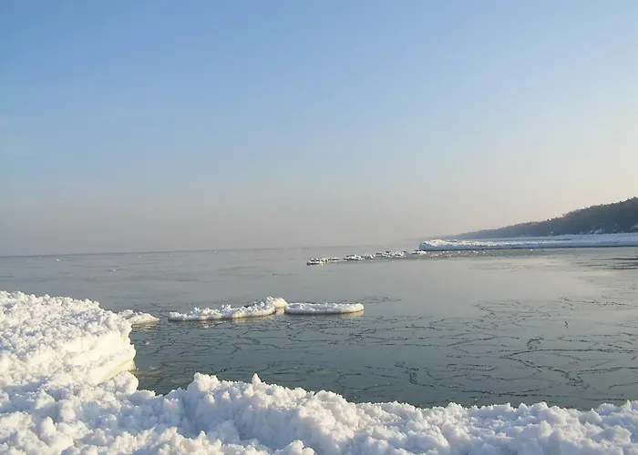 Borowka W Blue Mare Łukęcin