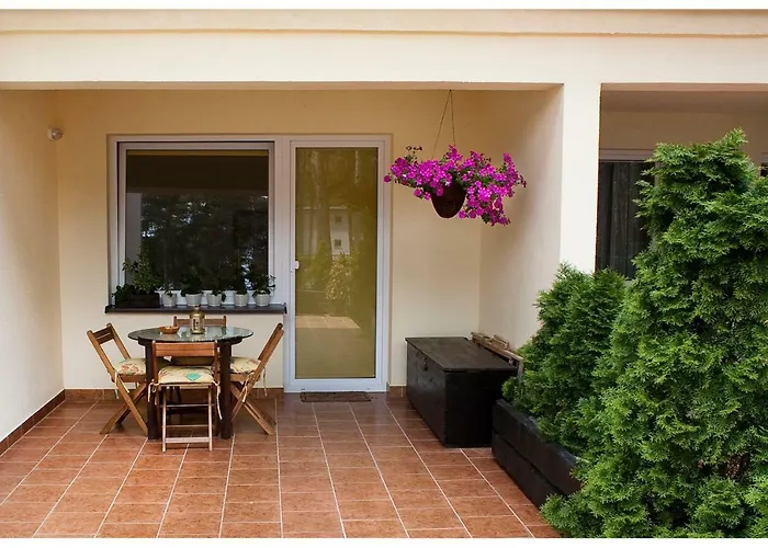 Borowka W Blue Mare 公寓