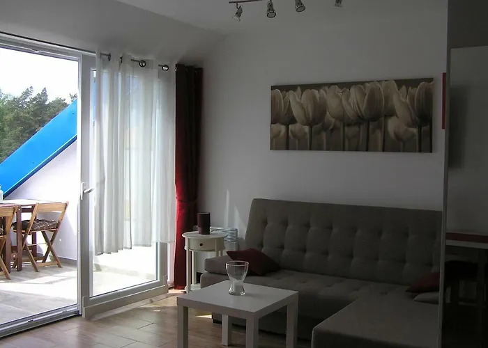 Borowka W Blue Mare Apartment