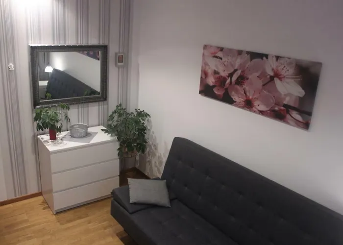 Borowka W Blue Mare 公寓 *